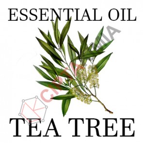 Tea Tree Essential Oil 