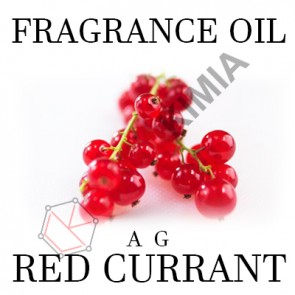 Red Currant (Lambda) Fragrance Oil